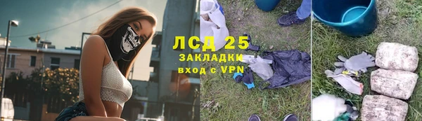 шишки Лиски