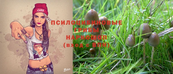 шишки Лиски