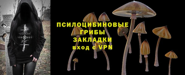 тгк Липки