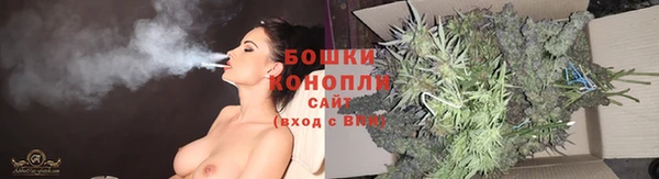 шишки Лиски