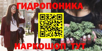 гидра Камышлов