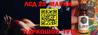 гидра Камышлов