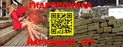 гидра Камышлов