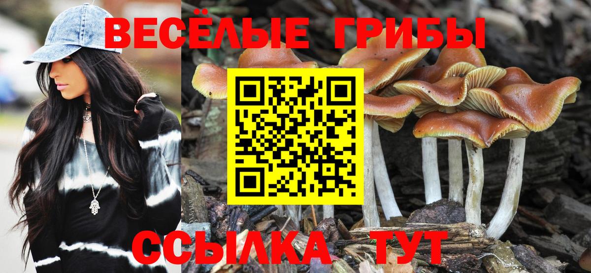 Галлюциногенные грибы MAGIC MUSHROOMS Электросталь