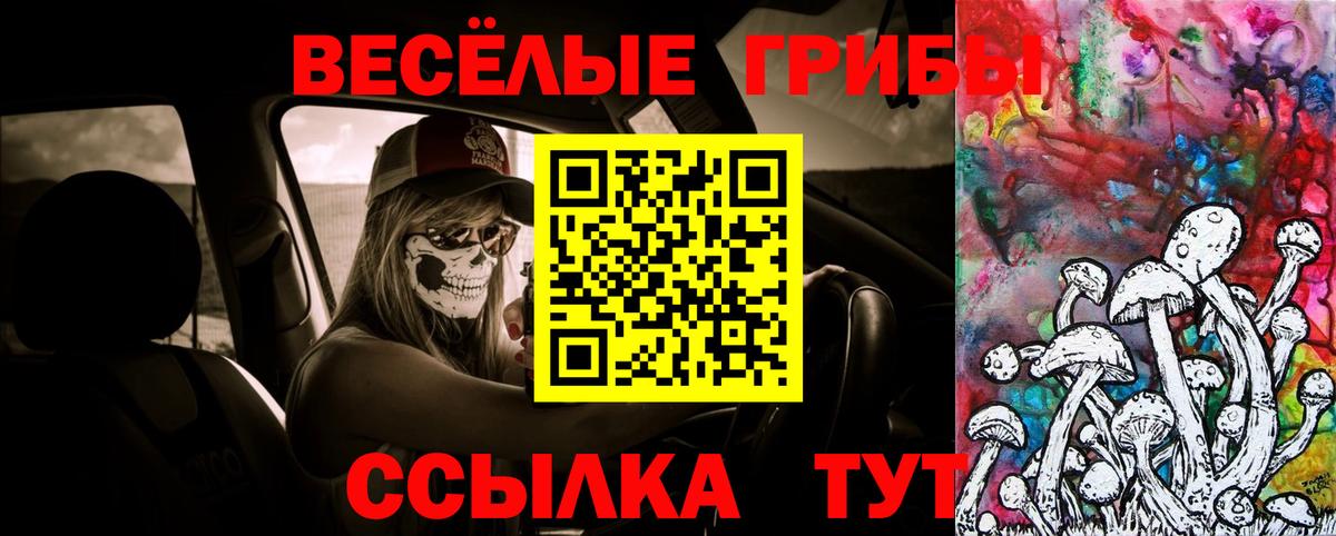 Электросталь  Псилоцибиновые грибы Cubensis  Вход с VPN 